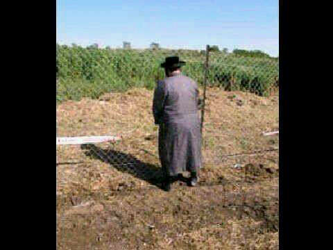 משקין את השדות..