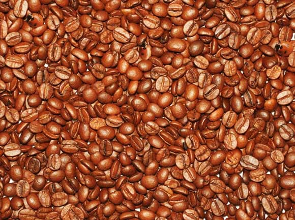 coffee-faces-and-lady-bugs-optical-illusion4.jpg