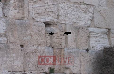 nf_5271_37352 - Copy.jpg