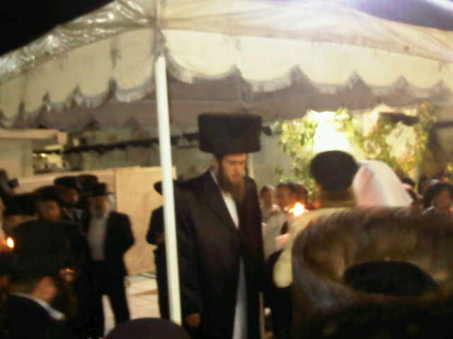 יאפאן גרינוואלד.jpg