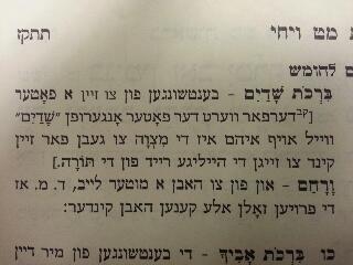 חומש תורה ברורה