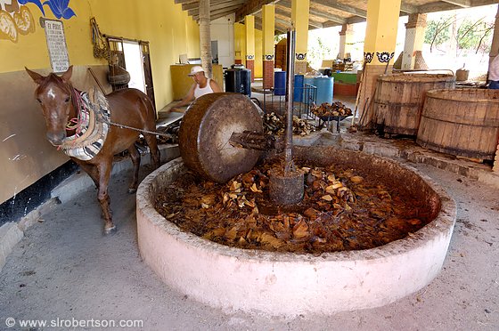 mezcal-grinding-agave-3-b.jpg